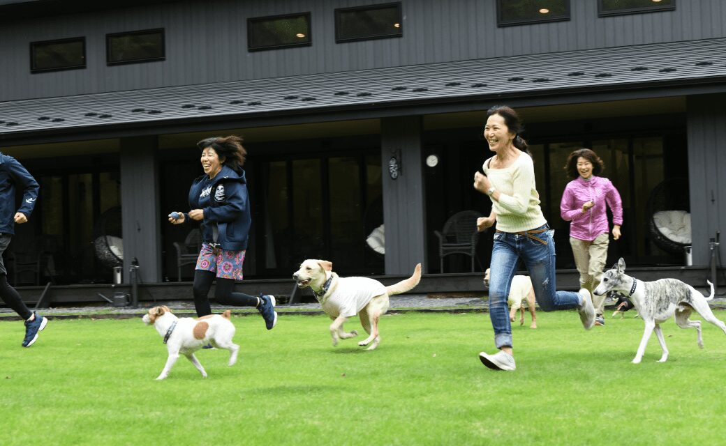 大自然を犬と一緒にかけまわるドッグラン（フォレストヒルズ那須