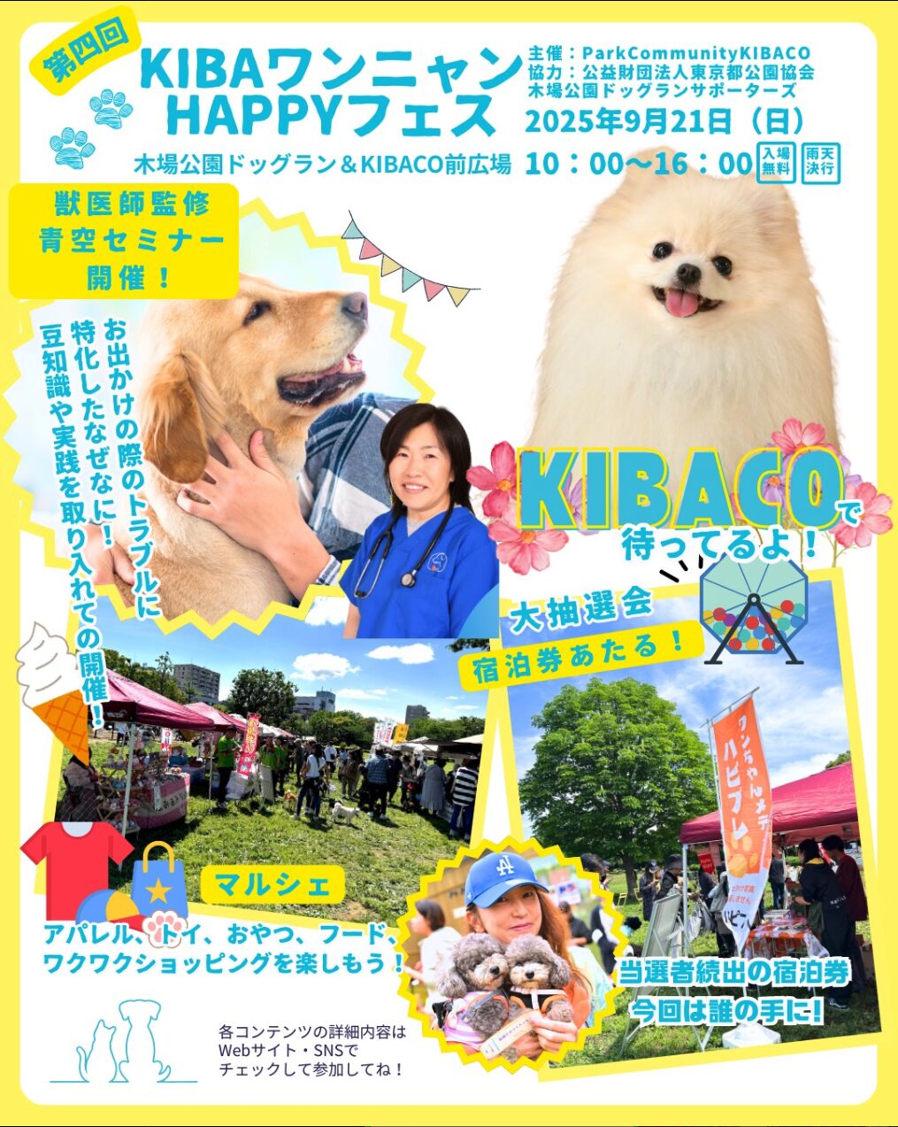 イベント案内