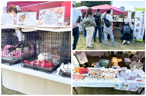 ペットイベントKIBAワンニャンHAPPYフェス　NPO法人猫の森チャリティーグッズ販売と譲渡会