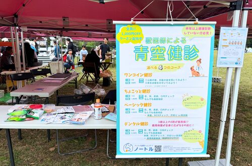 2025年11月8日に開催されたペットイベントKIBAワンニャンHAPPYフェス「ノートル」さん