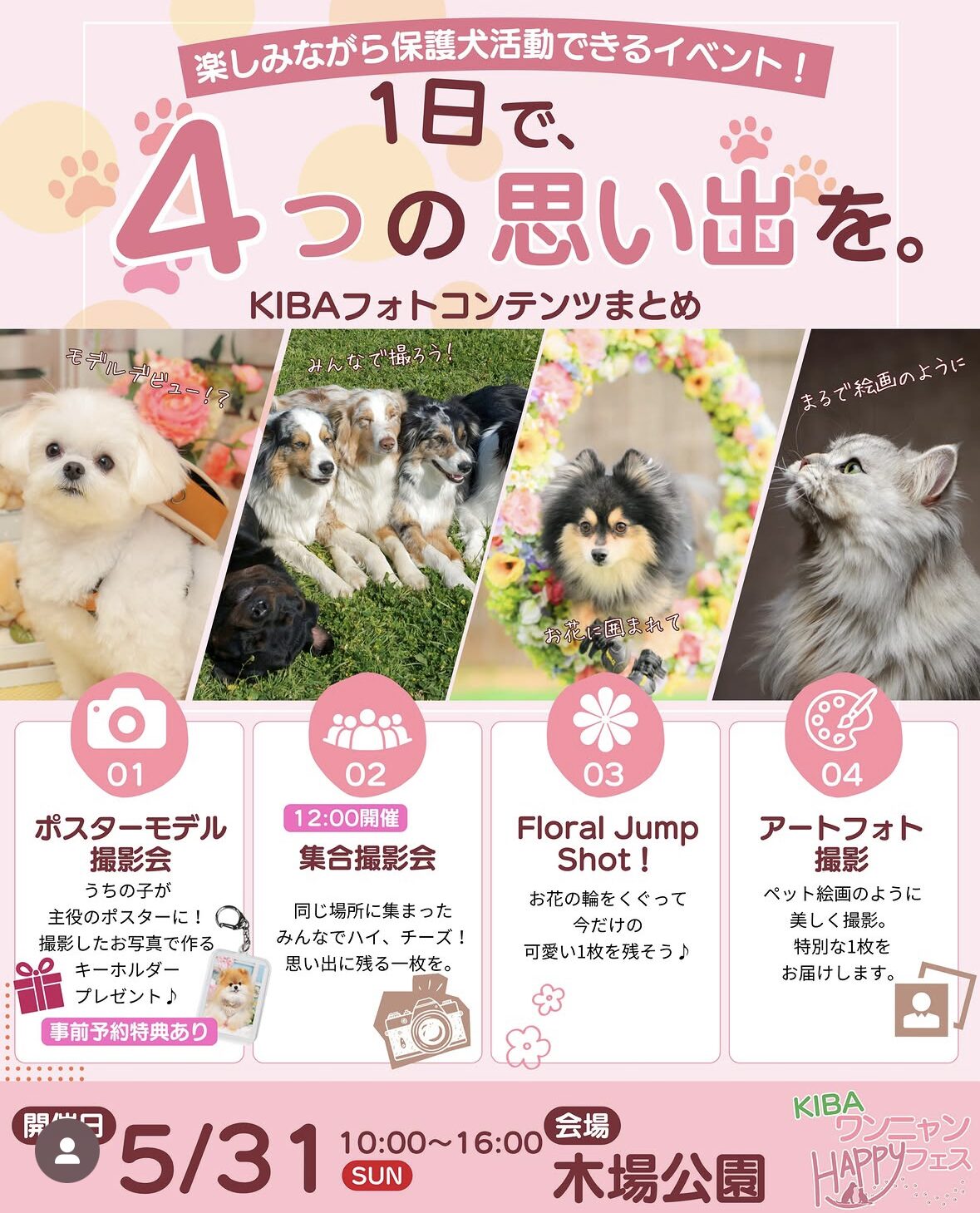 第7回KIBAワンニャンHAPPYフェスのイベントコンテンツにおける写真関係のが犬画像4つ掲載されている