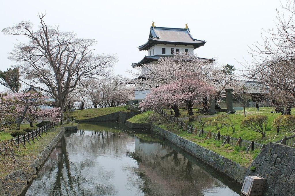 ペット お出かけ 大沼 松前