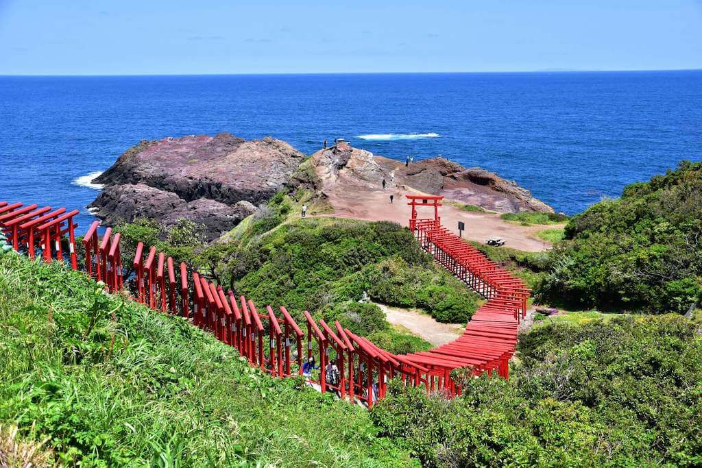 ショップ ペット 宿 山口