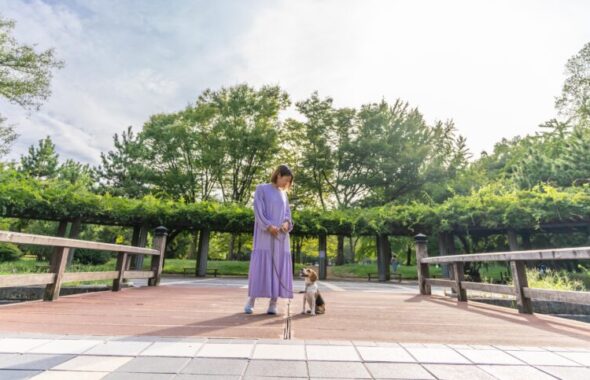 大きな公園で青空が広がっている。真ん中に橋がかかっていて、若い日本人女性と犬が見つめあっている