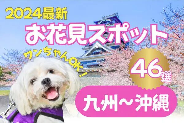 九州、沖縄のワンちゃんOK桜のスポット紹介2024