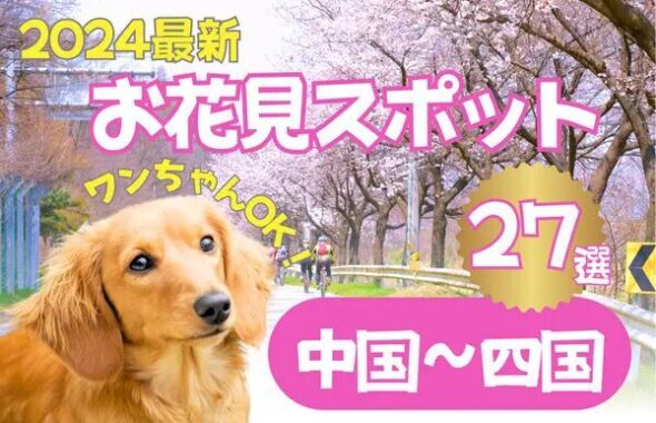 犬とお花見、桜のスポット紹介中国四国地方版ダックスフンド