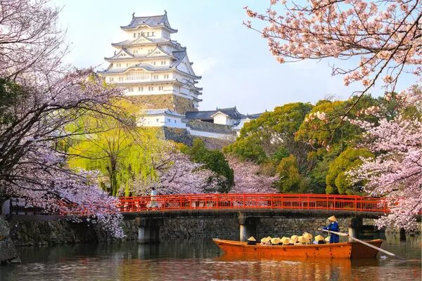 大阪中央区大阪城公園の桜