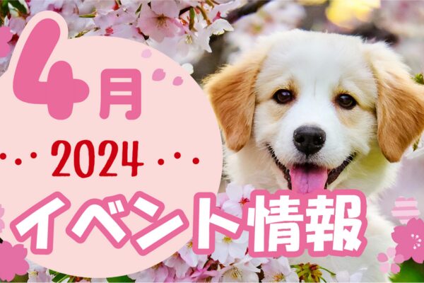 ワンちゃんイベント24年4月表紙