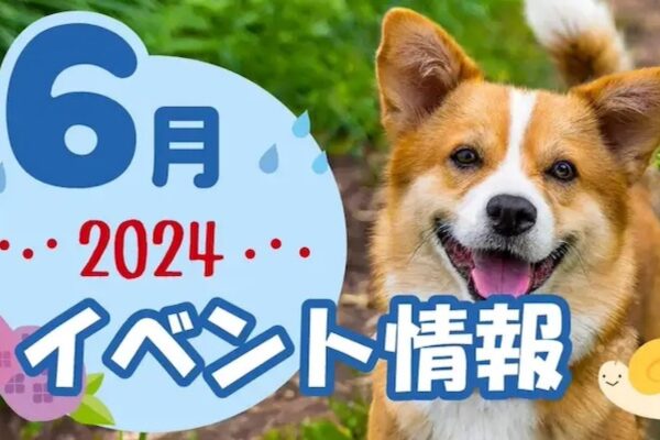 2024年6月わんちゃんイベント表紙