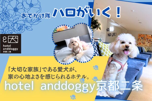 ハピプレワンちゃん宿泊できるホテル特集（京都二条anddoggy）