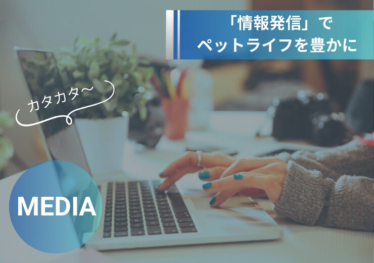 メディア事業