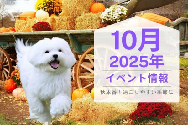 全国ペットイベント202510月