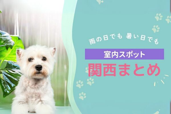 関西雨の日お出かけスポット紹介