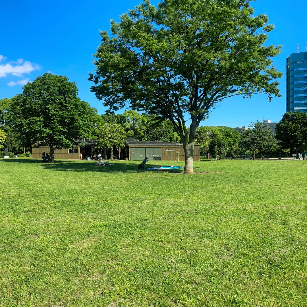 木場公園風景写真