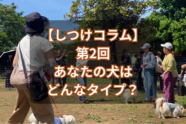 いのめぐみタイアップコラム