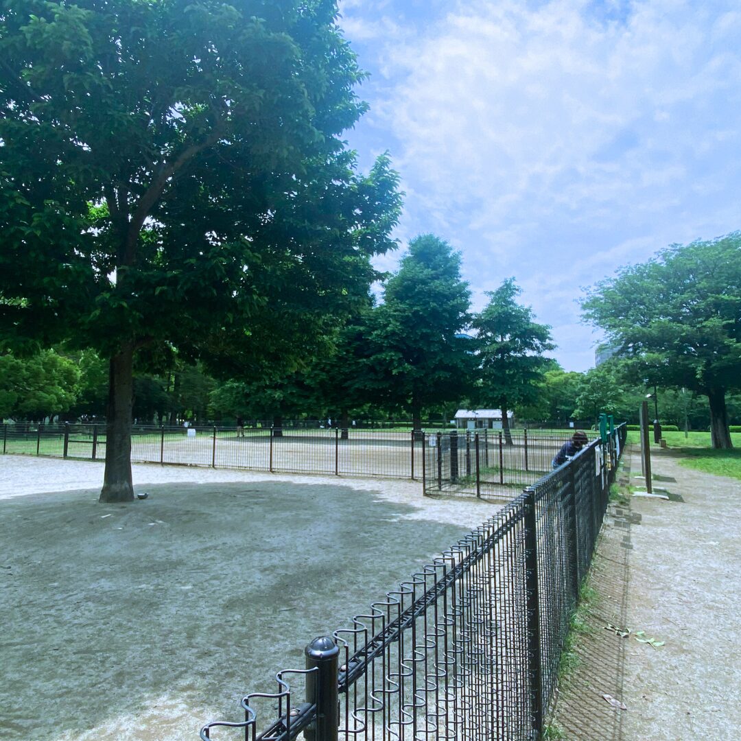 木場公園にあるドッグラン