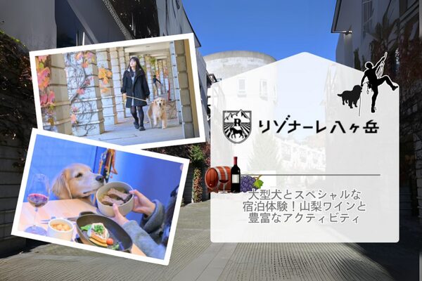星野リゾート八ヶ岳の取材