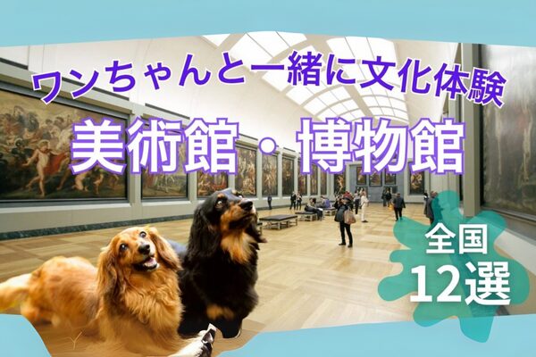 ハピプレのわんちゃんとの美術館