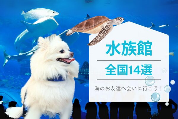 ワンちゃんと一緒に行ける水族館