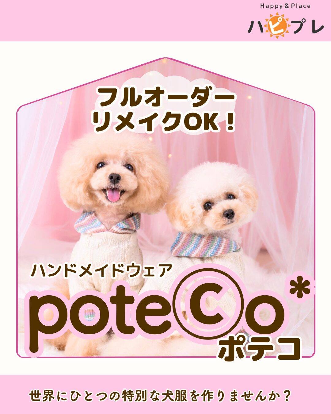 特集POTECO