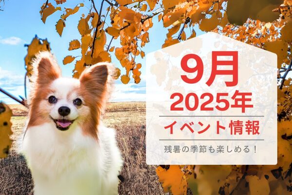 2925年9月ペットイベント