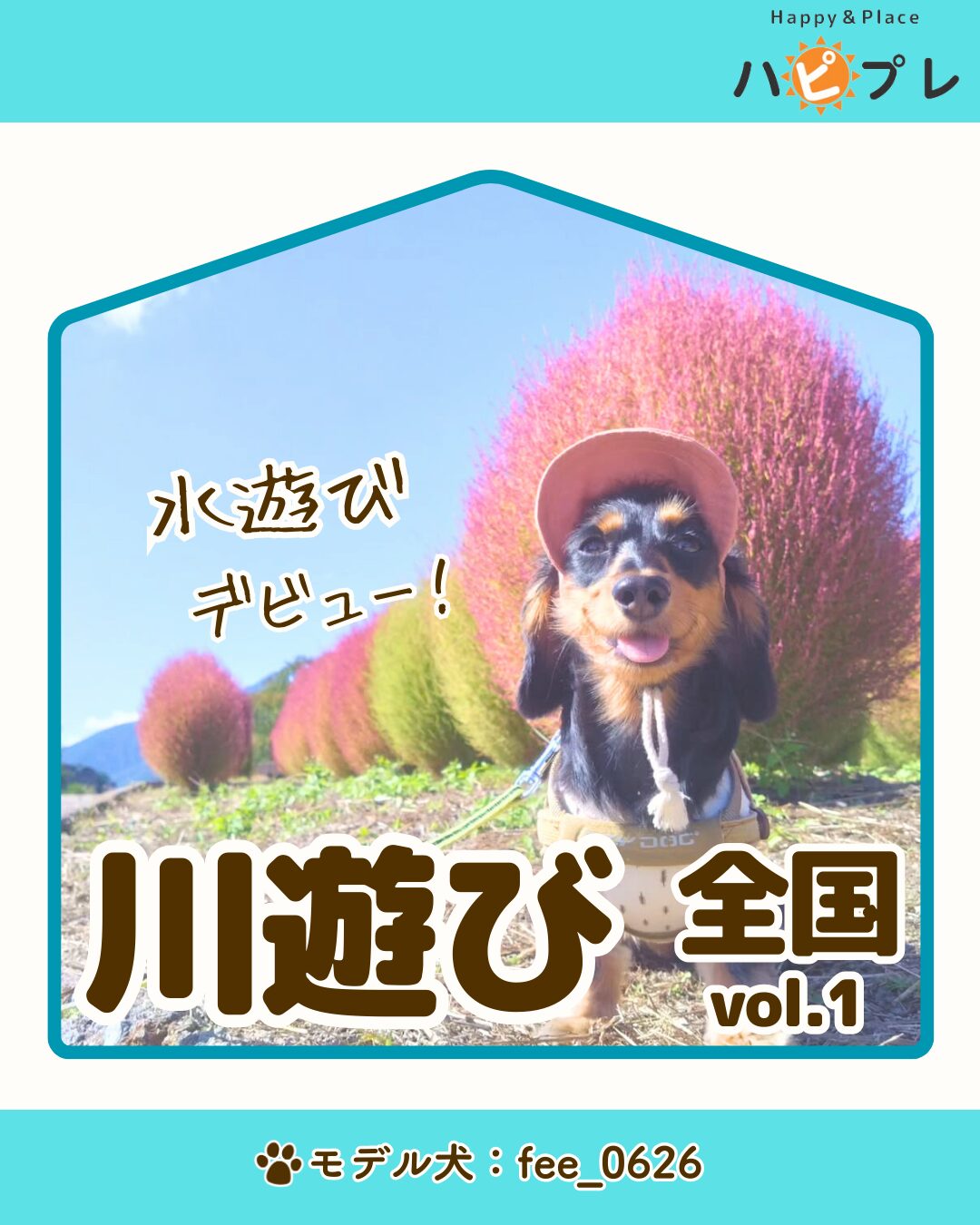 メディア記事