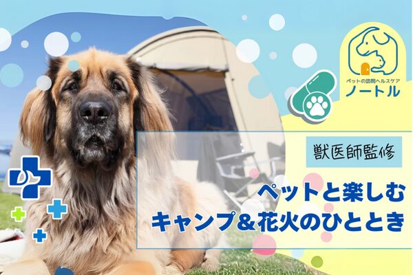 獣医師監修コラム
