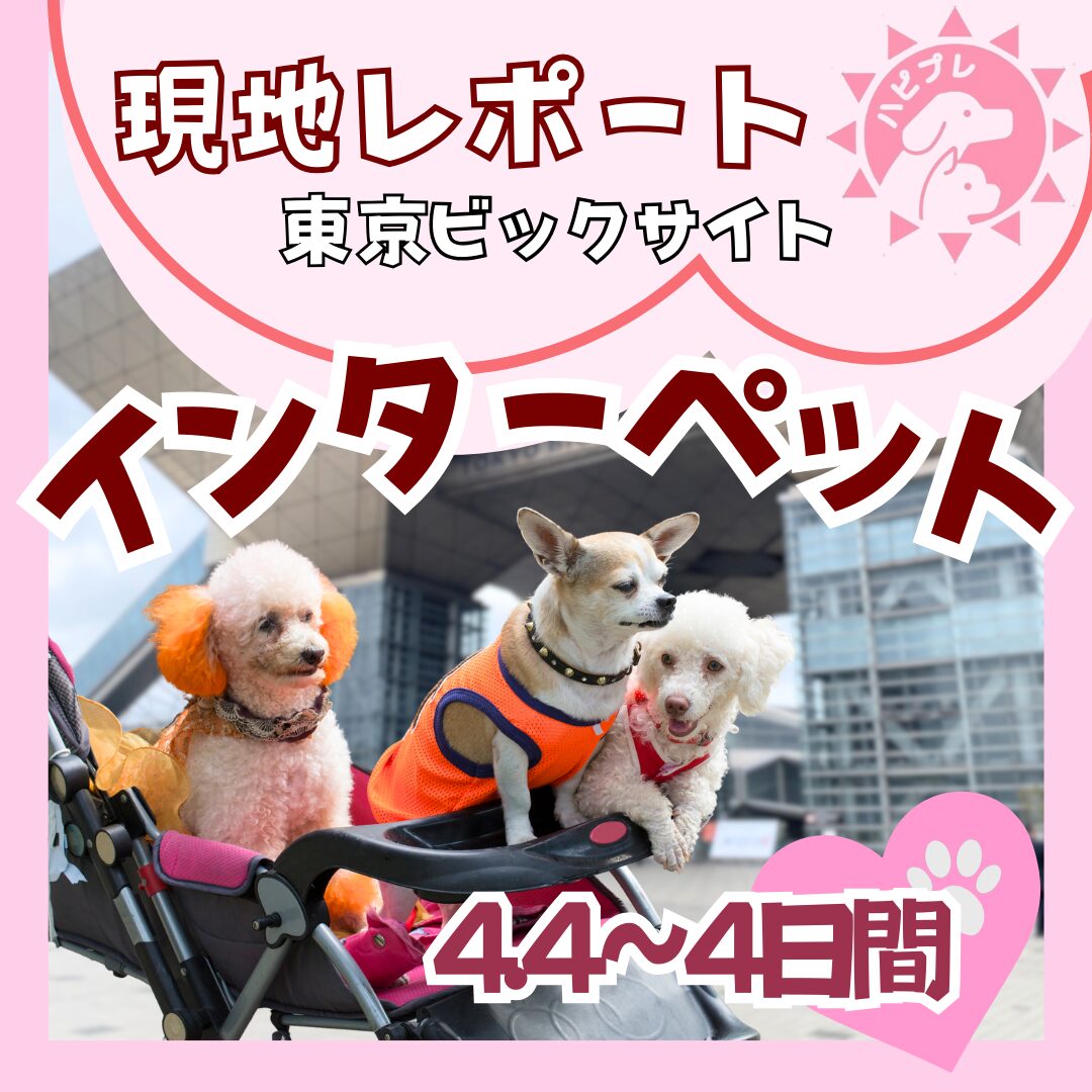 ハピプレ記事インターペット特集