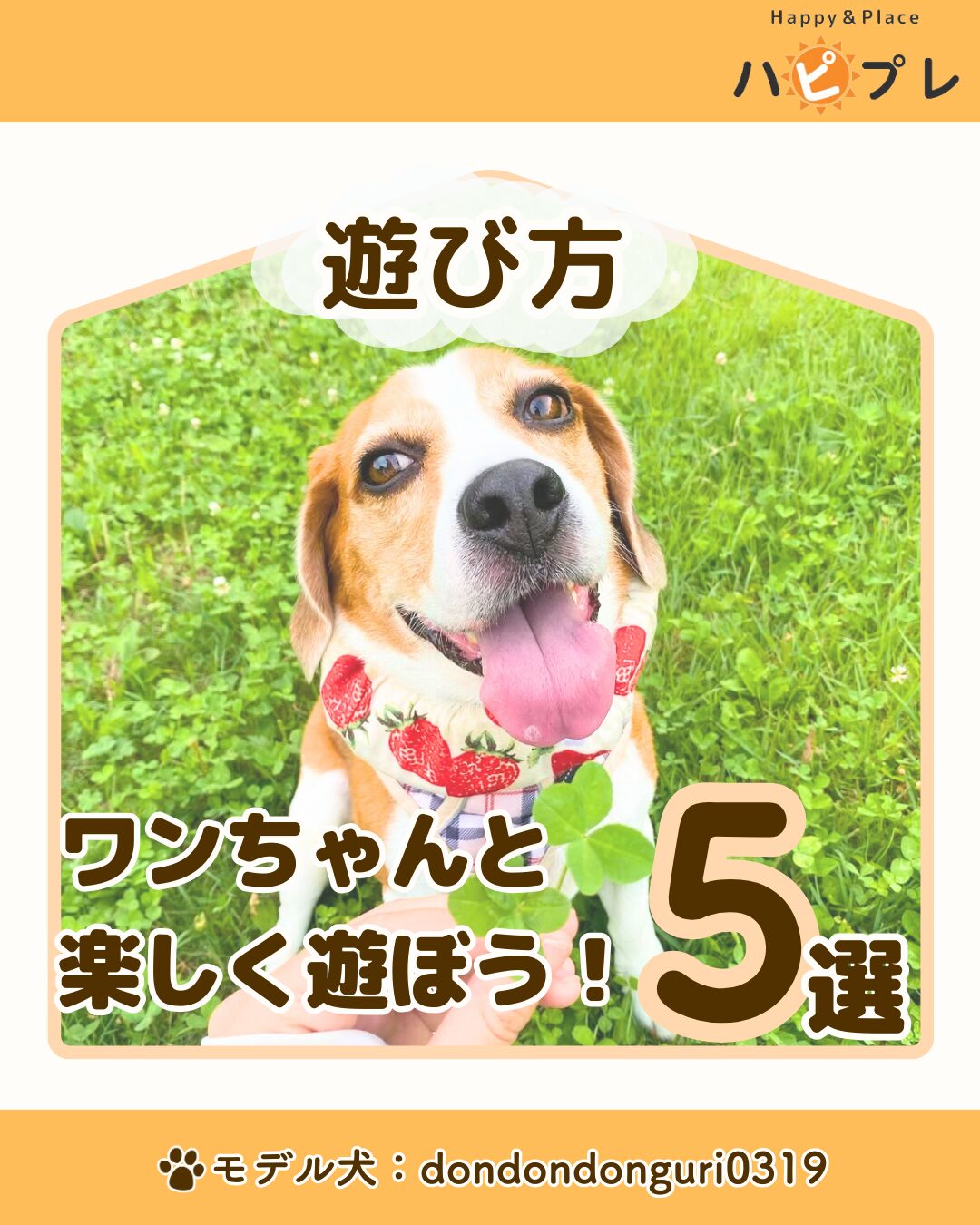 メディアハピプレ