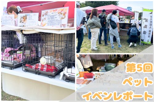 2025年11月8日（土）都内木場公園で開催されたペットイベントの見出し