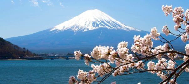 河口湖 山中湖周辺ペットとお出かけスポット１５選 富士五湖には愛犬と遊覧船 カヌーでゆったり過ごすのはどうですか ハピプレ