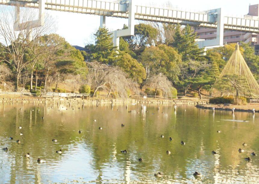 千葉公園 ハピプレ